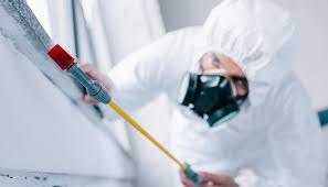 Best Pest Control for Warehouses  in Sleepy Hollow, CA